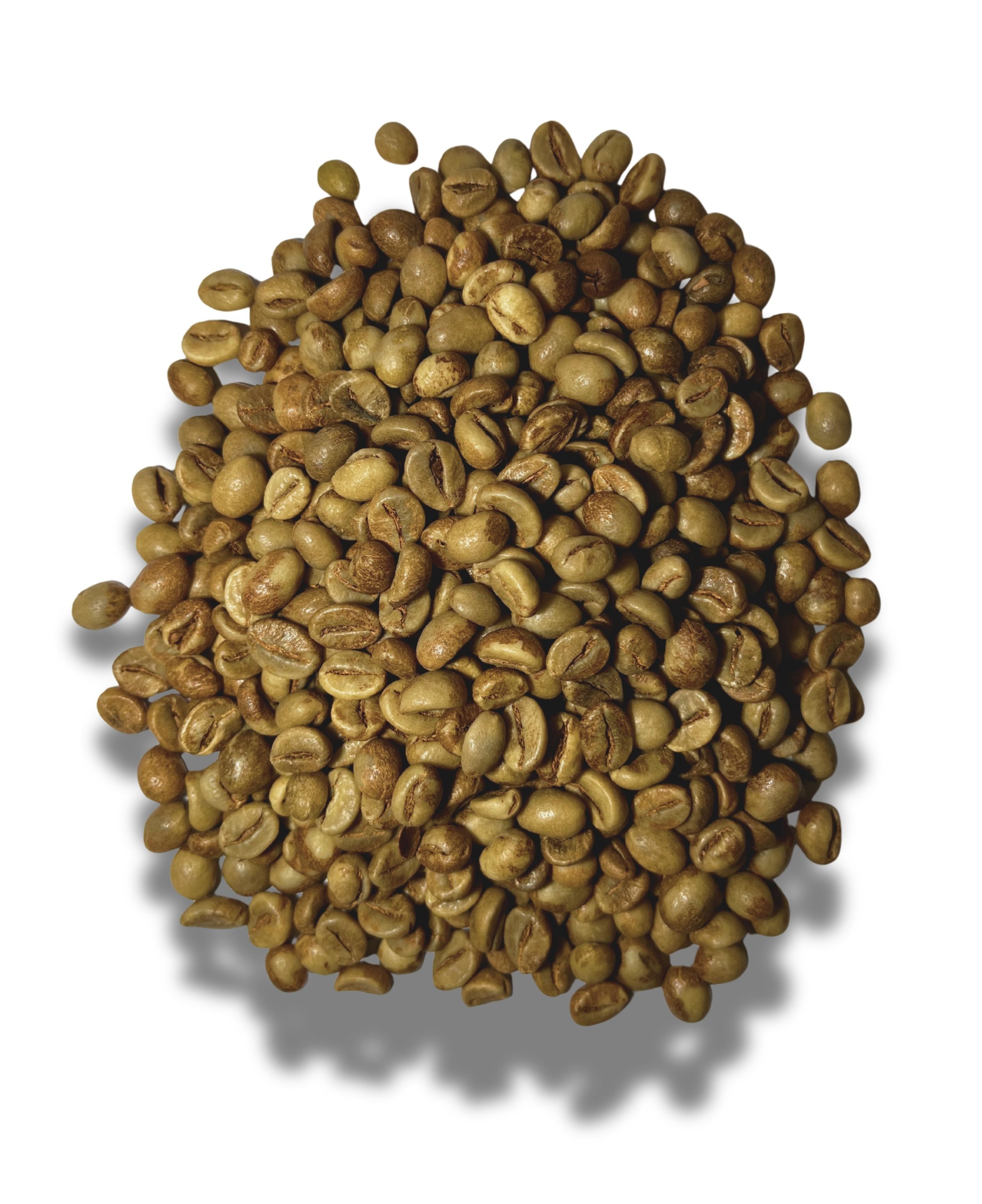 Coffee Processing