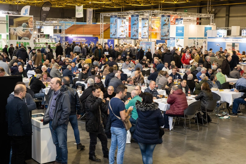 Why Attend International Pigeon Racing Fair (FUGARE)? B2B Intro - 3