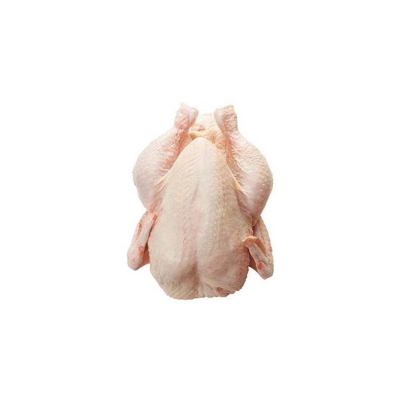 Frozen Chicken Export