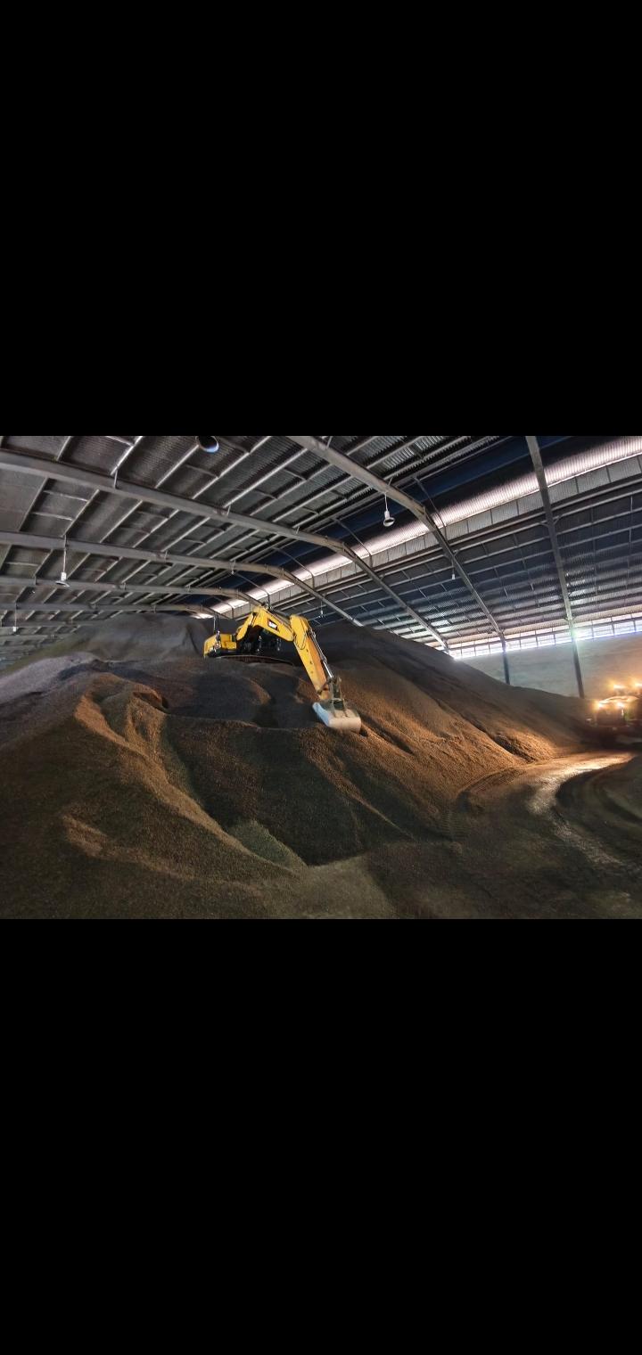 Palm Kernel Shell