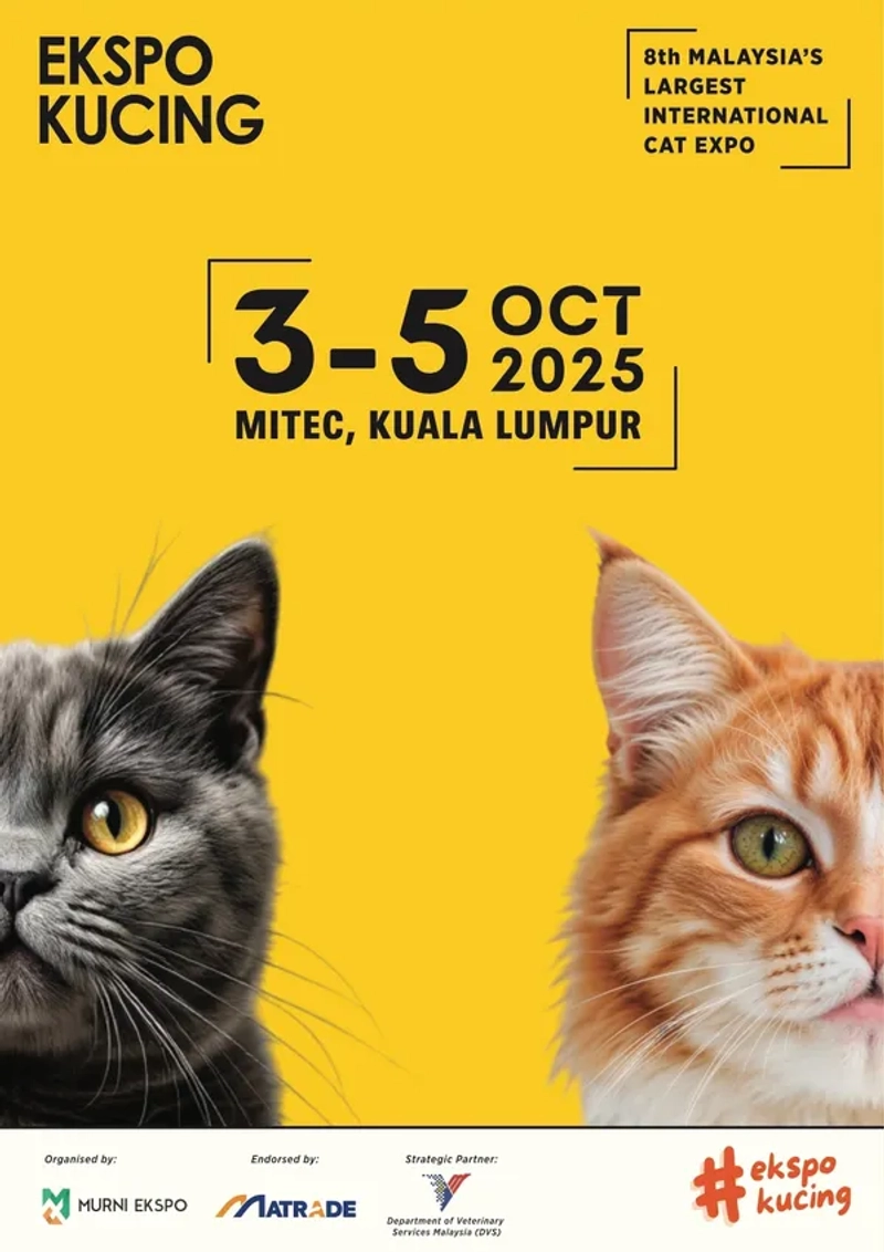 Inside Ekspo Kucing: B2B Key Insights