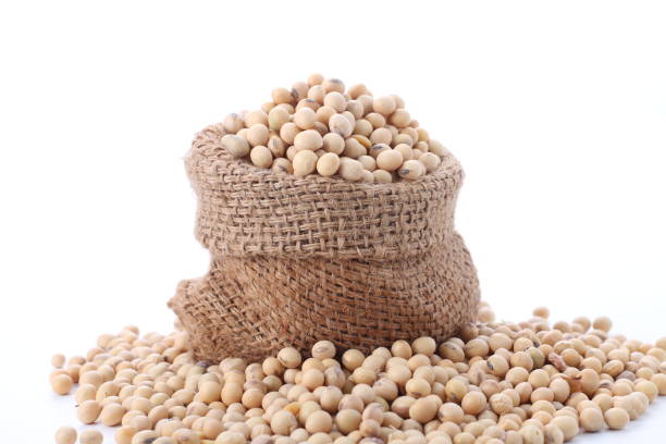 Top 6 Soybean Suppliers in United Kingdom in Week 21 of 2025