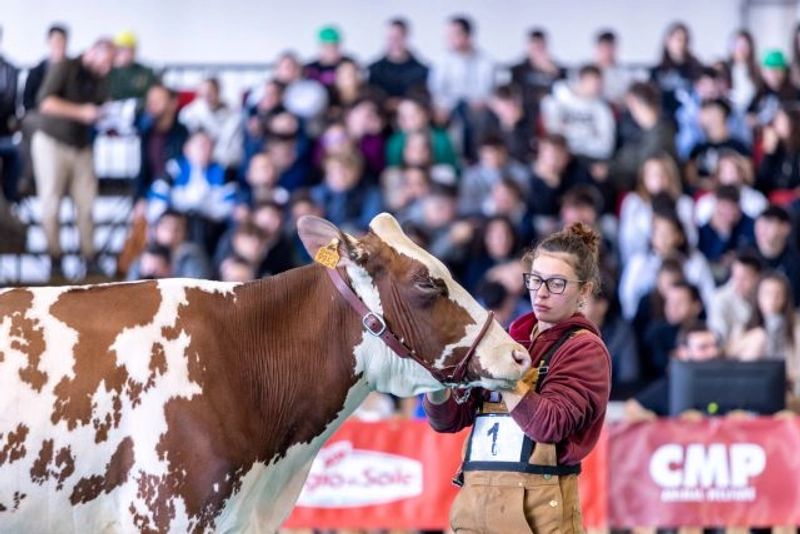 Italian Agricultural and Livestock Fair Revealed: B2B Opportunity - 2