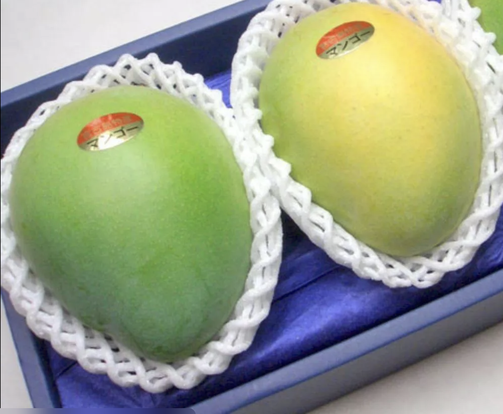 Mango protection bag