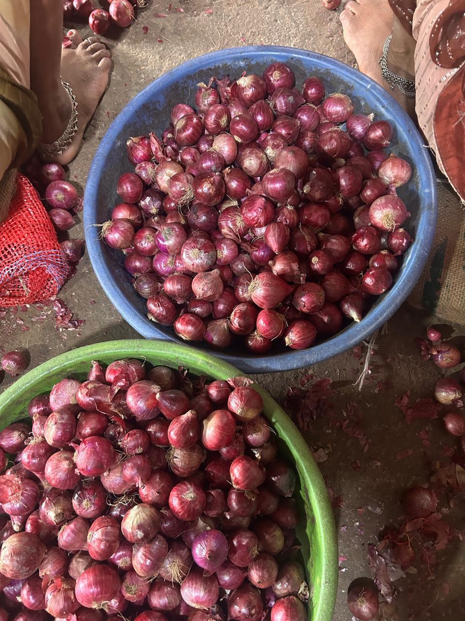 PREMIUM INDIAN ONION