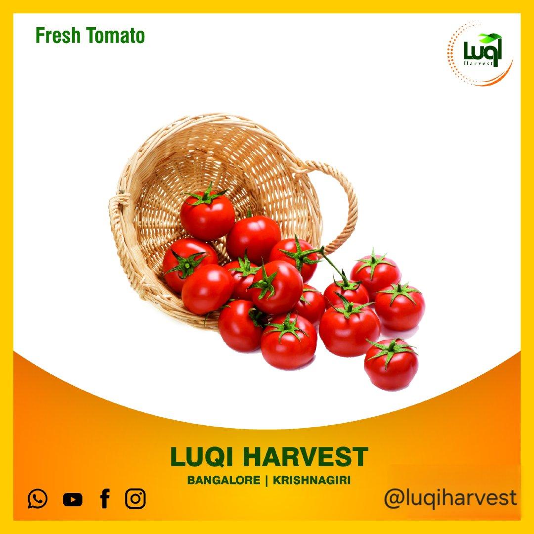 Tomato Paste Drum