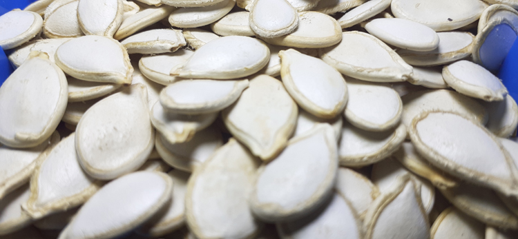 Rich Quality High Grade Pure Natural Organic Pumpkin Seeds Kernels from Top Supplier