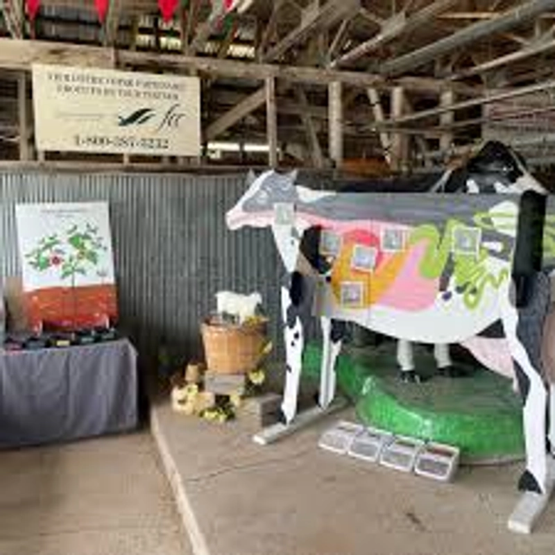 Cookshire Agricultural Fair Spotlight: B2B Essentials - 2