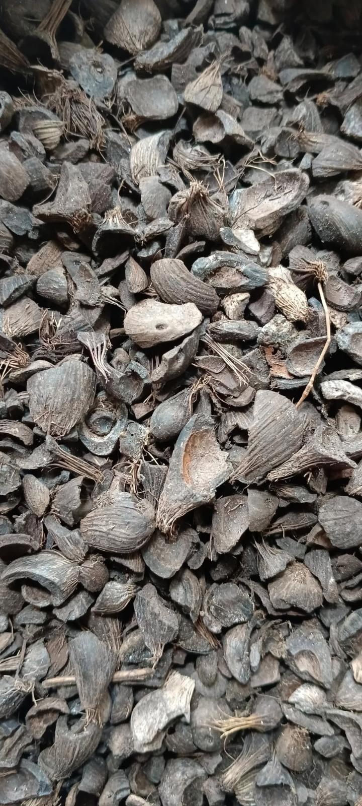 Palm Kernel Shell