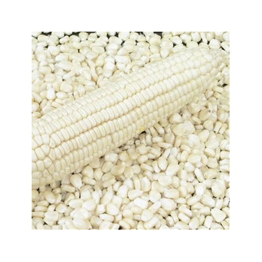 Discover the Top 5 Corn Suppliers in South Africa - 3
