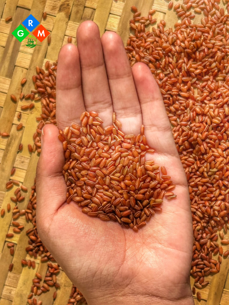 Red Rice Image 1