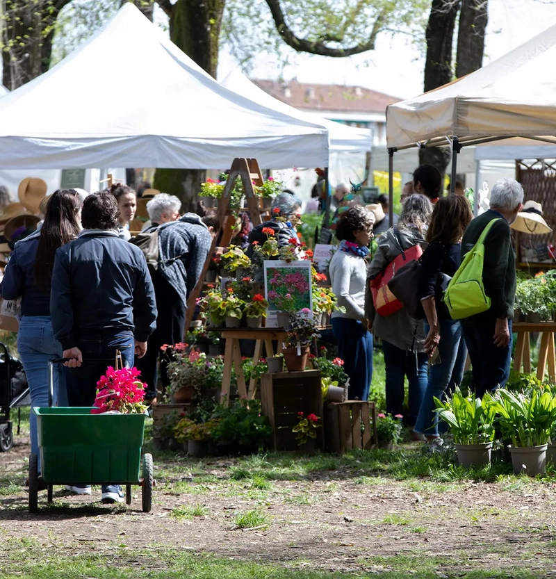 Why MURABILIA - MURAINFIORE Matters for B2B