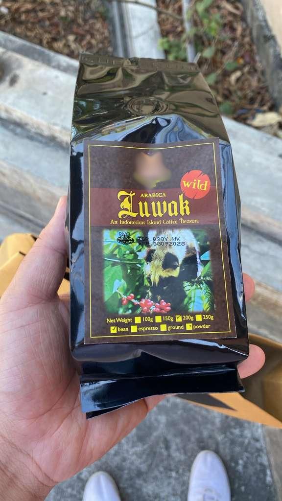 Luwak Coffee Beans, Arabica, 300 USD per kilo, MOQ 30 KG, FOB terms