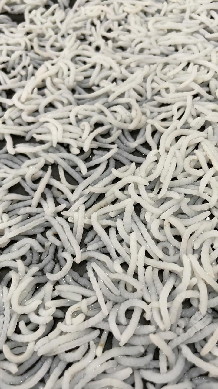 1121 Basmati Rice Image