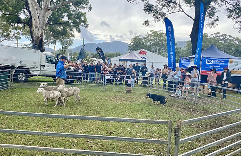 Why Attend Coffs Harbour Agricultural Show? B2B Intro - 3