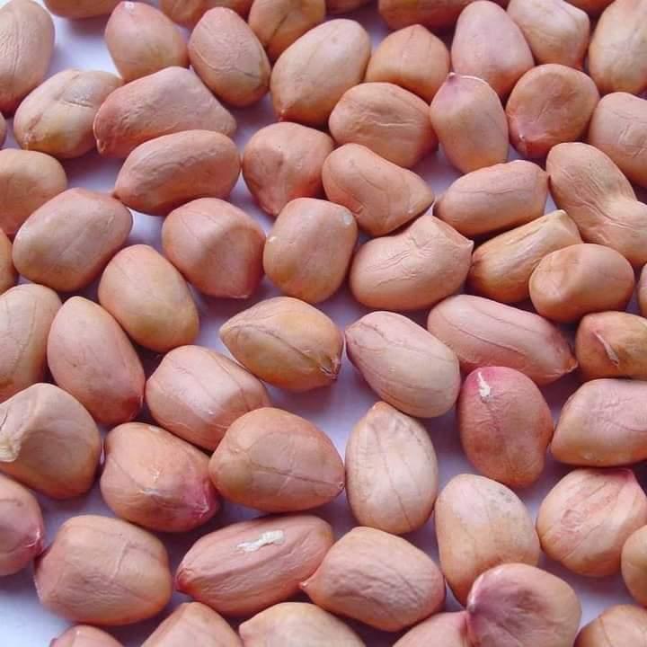 Peanuts
