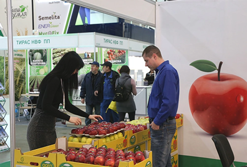 Fruit. Vegetables. Logistics Spotlight: B2B Essentials - 1