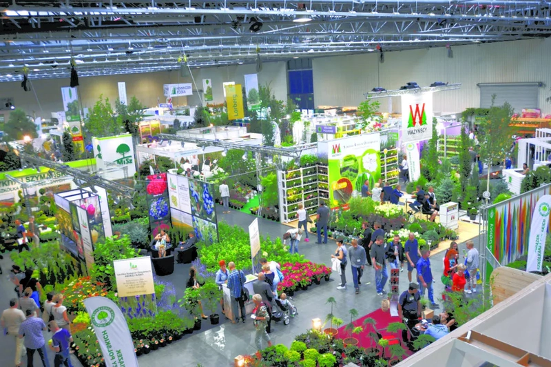 Why GREEN IS LIFE Matters for B2B - 1