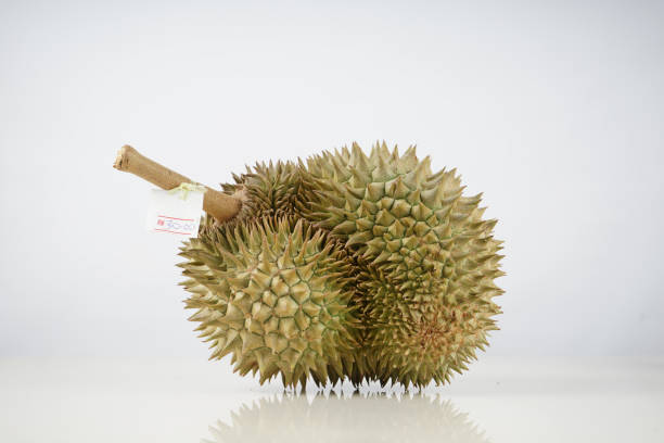 Top 5 Durian Suppliers in Indonesia in Year 2025: Navigating a Transforming Market