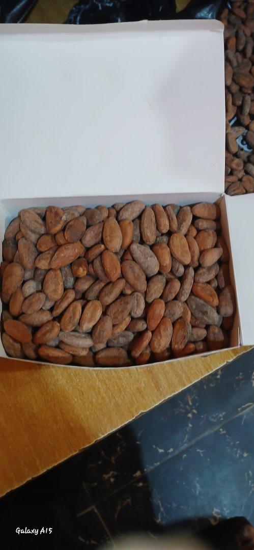 Dry Cocoa Beans