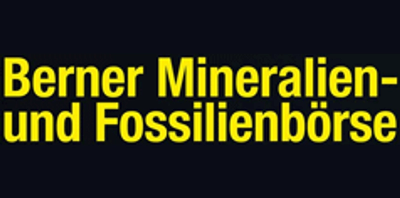 Inside BERNER FOSSILIEN- UND MINERALIENBÖRSE: B2B Key Insights