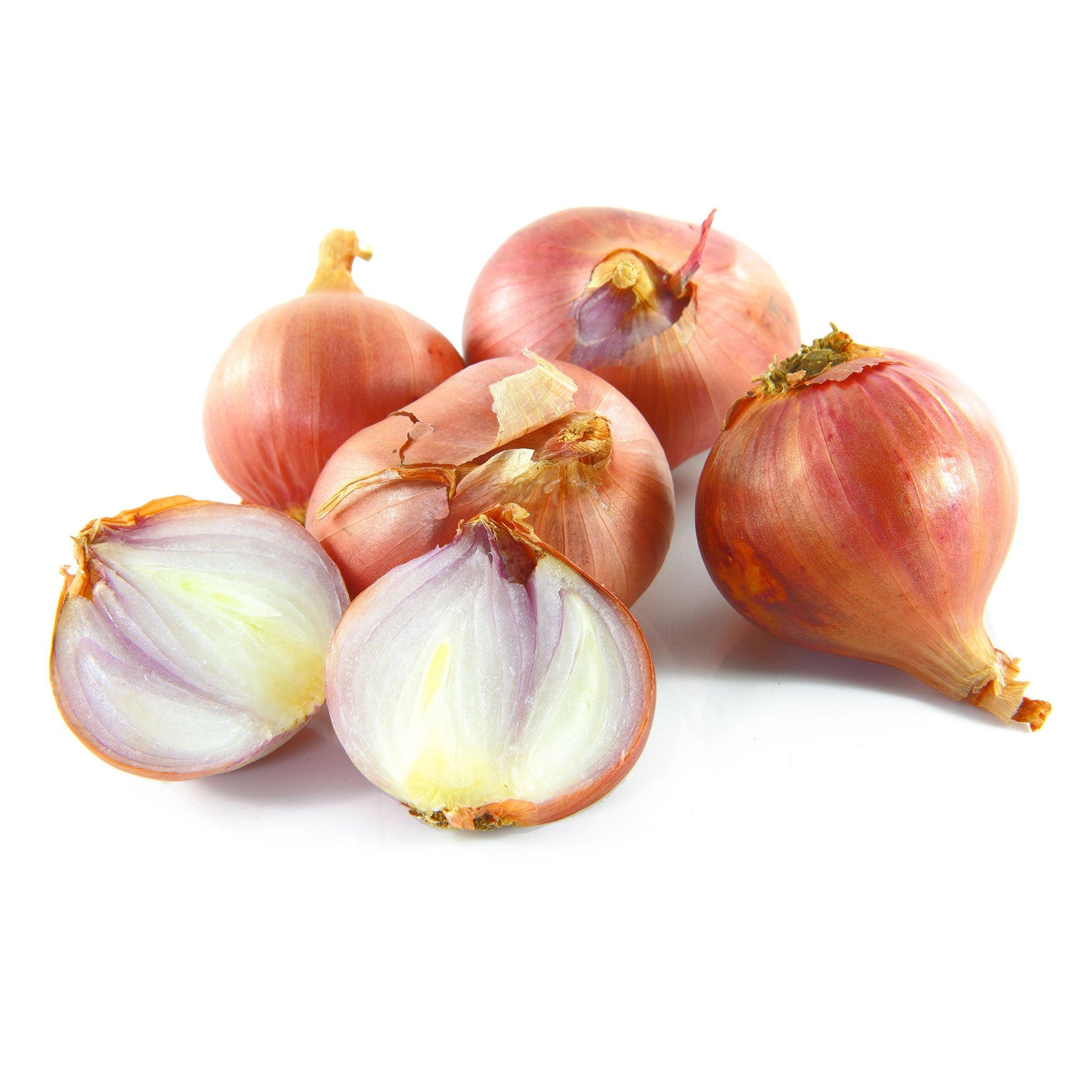 Meet the Top 3 Fresh Onion Suppliers in South Africa - 3