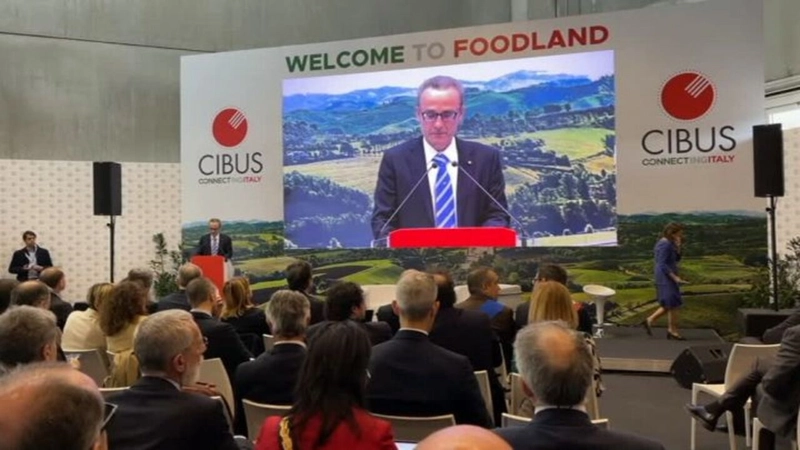 Why Attend CIBUS CONNECT? B2B Intro - 3