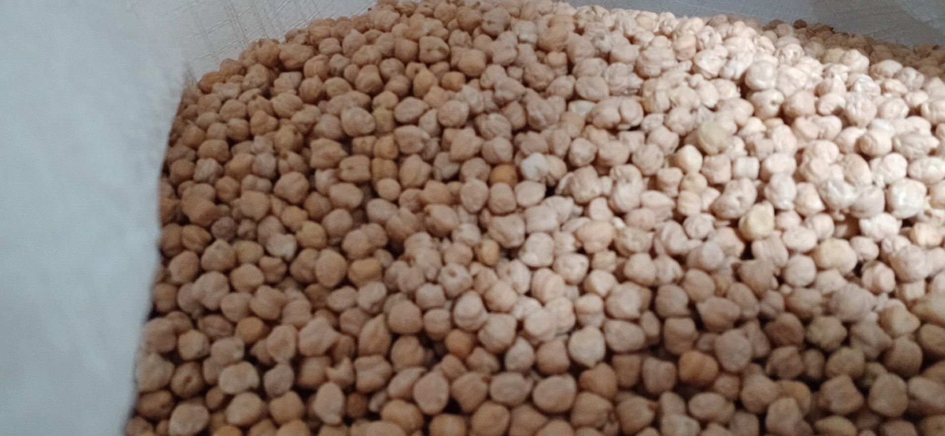 Chickpeas