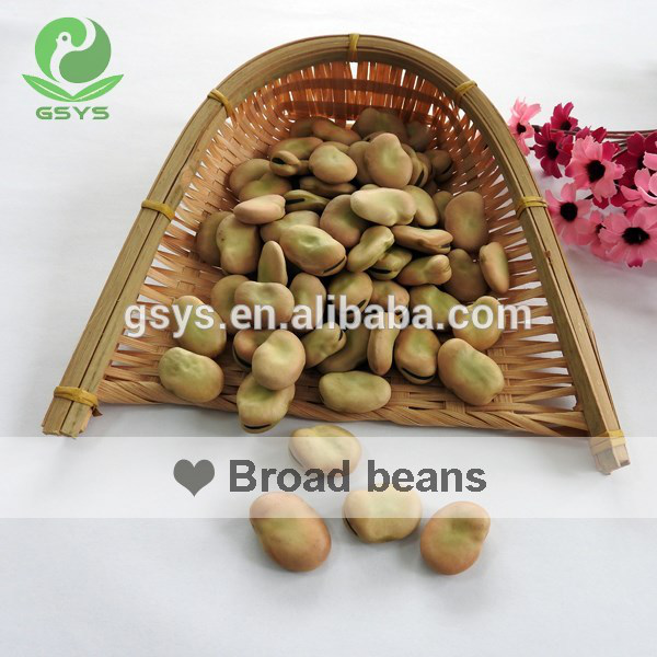 68dd2d3e0ef54bcb9e081571dc3611b7