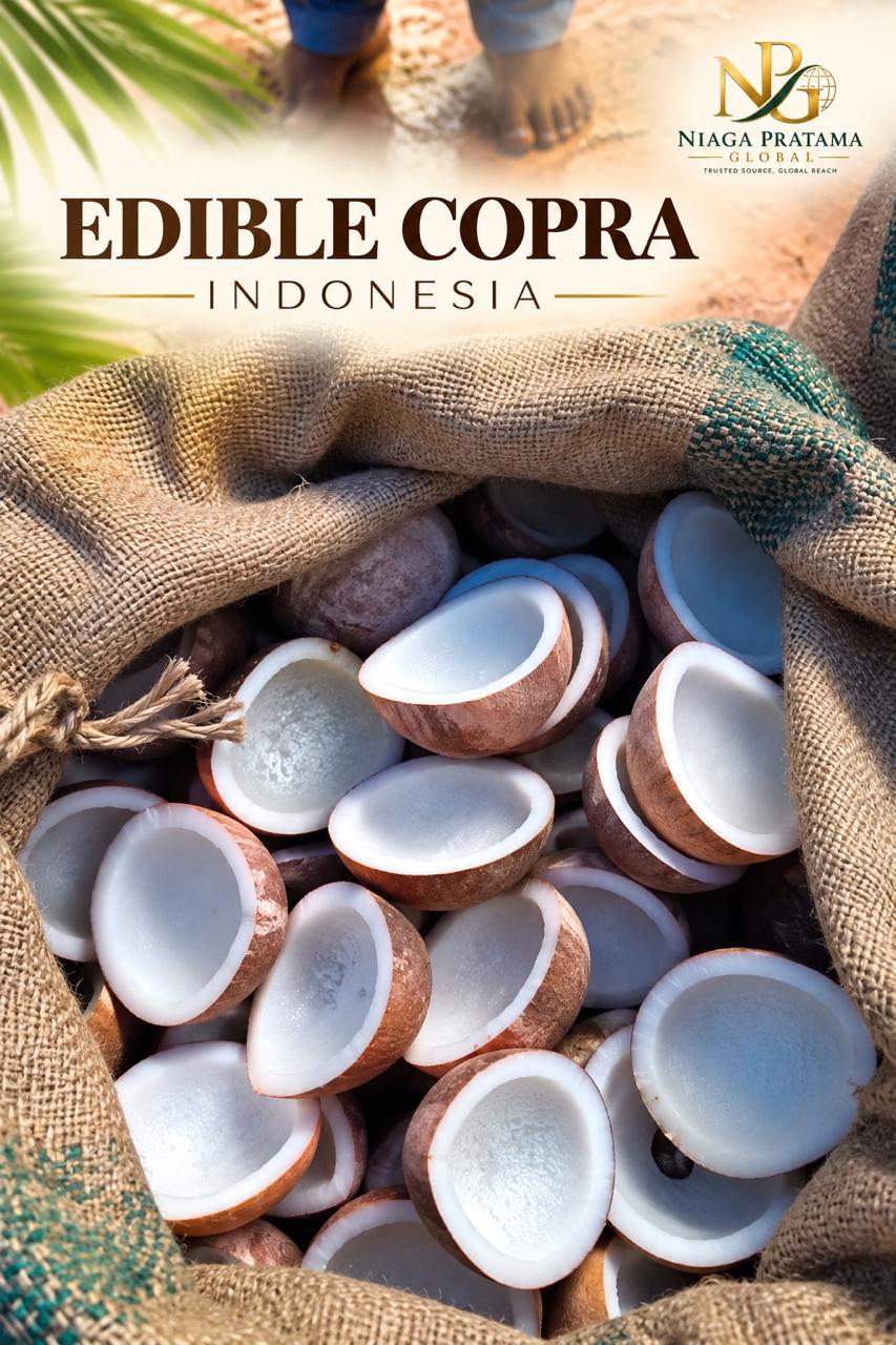 Edible Copra (Dried Coconut Kernel) from Indonesia