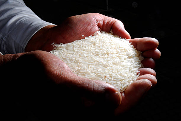 Top 8 White Rice Suppliers in China in Quarter 3 of 2025