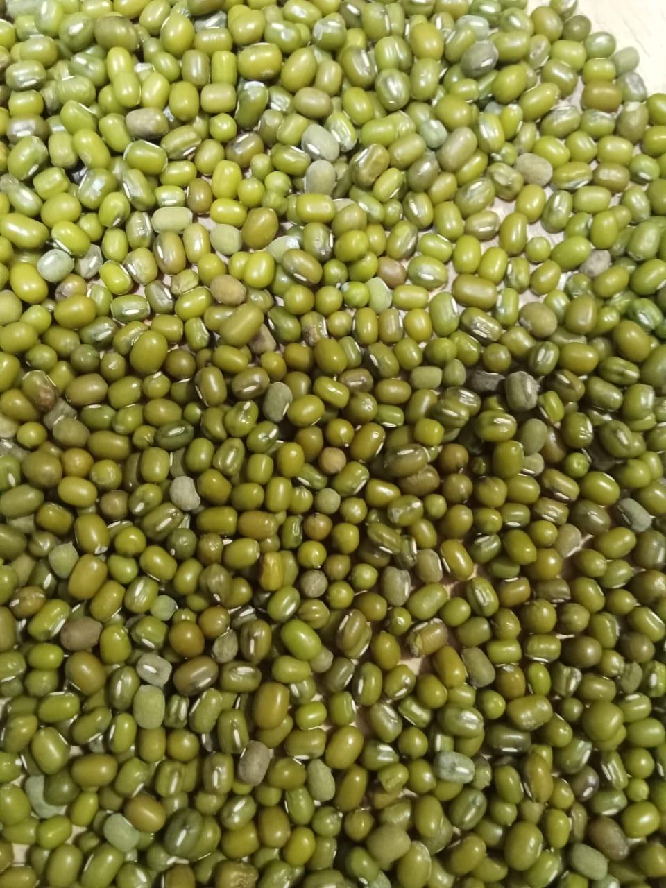 Premium Cleaned Mung Beans