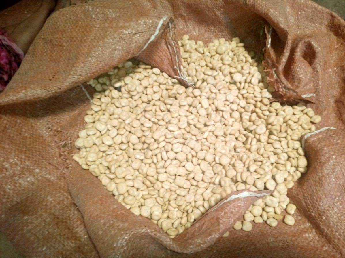 Top-shelf Brilliant White-cream Color Lupin AD Snow White Cream Dried Bitter Premium with 3 Years Shelf Life Bright White 0.5 %