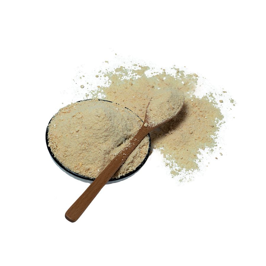 Freeze Dried Technology