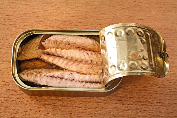 Top 10 Canned Fish Suppliers in Switzerland in Year 2025