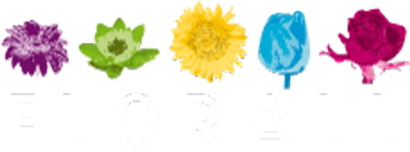 Inside FLORALL: B2B Key Insights