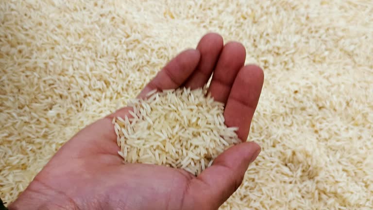Your Expert Guide to Procuring Top-Tier Basmati Rice: Top 6 Basmati Rice Suppliers in Portugal in Quarter 2 of 2025