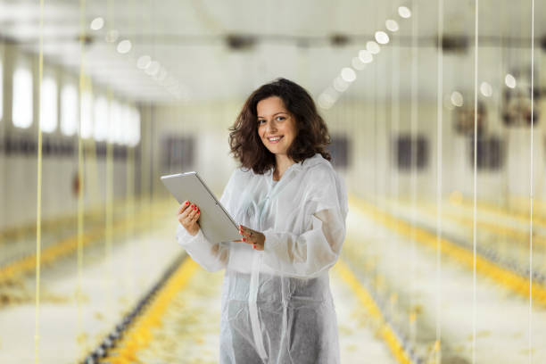 Top 5 Dairy Poultry Equipment Suppliers in China in Year 2025