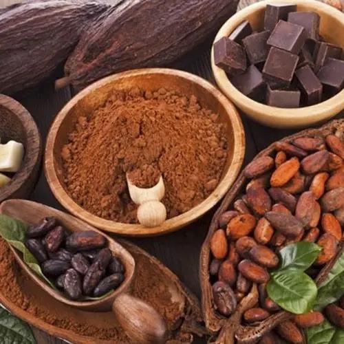 Wholesale Supplier Of Bulk Fresh Stock of Raw Dried Cocoa Beans