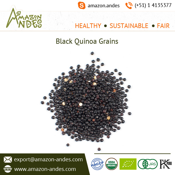 Hot Selling Organic Black Quinoa Grain Price