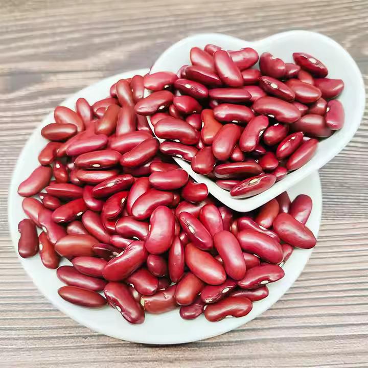 Organic Red/Light Speckled Kidney Beans