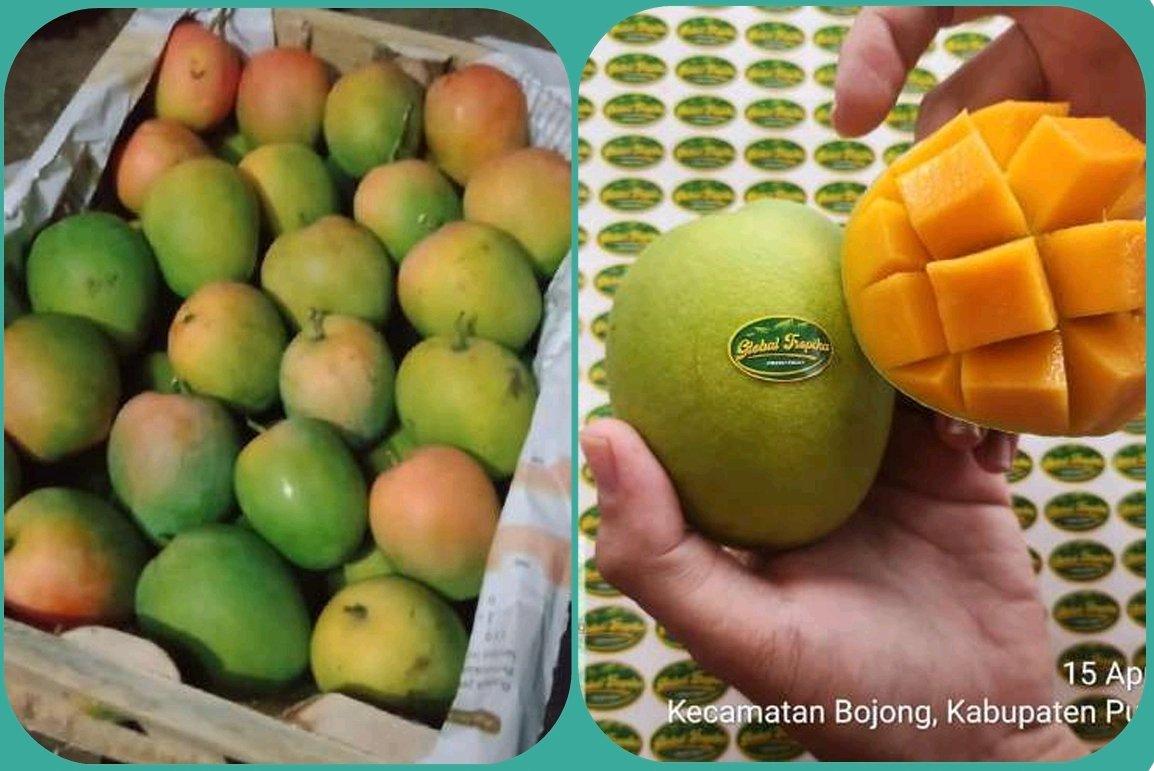 Top 8 Fresh Fruits suppliers in Indonesia — 8 Capabilities Reviewed - 2