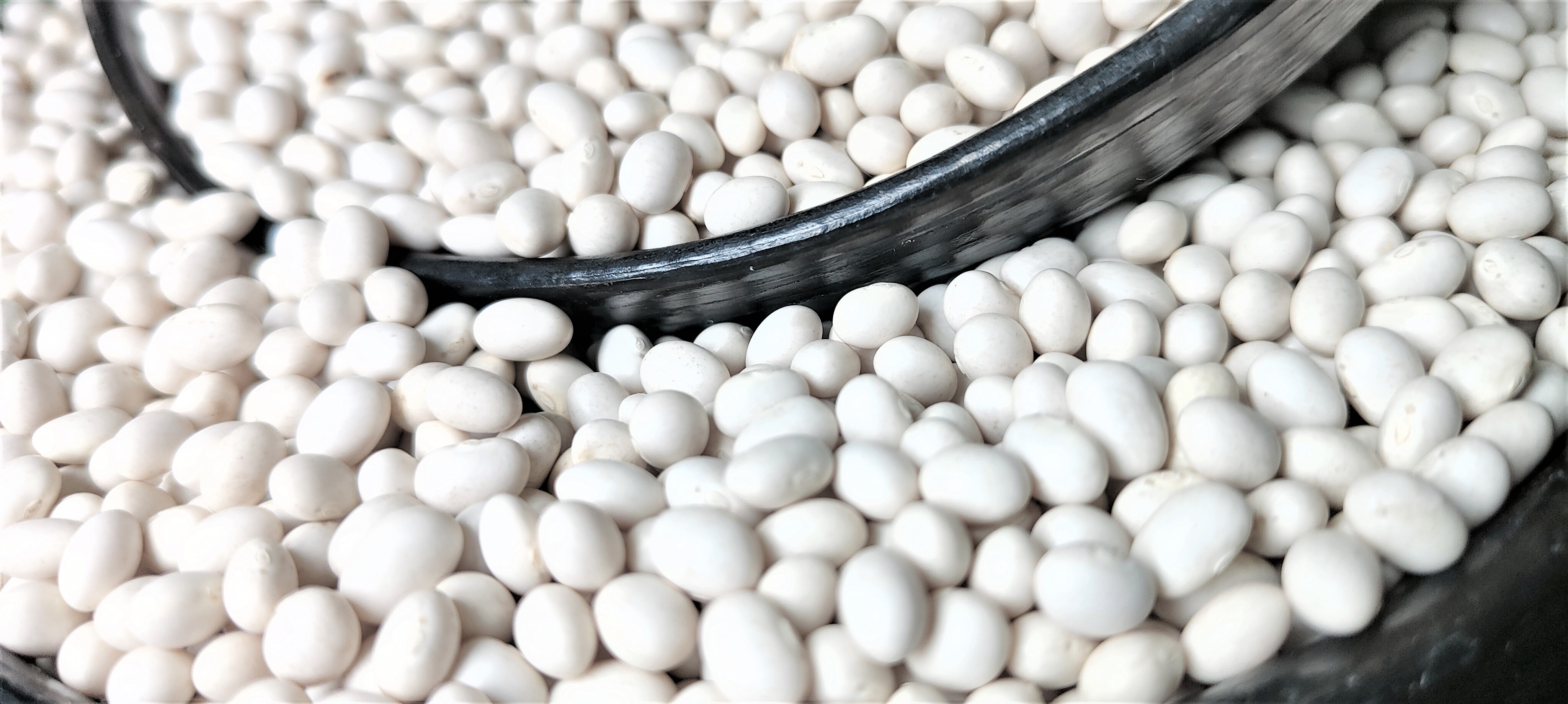 Ethiopian Origin New Crop 2024 White Pea Beans Wholesale Dried Handpicked and Polished Bulk Quality Kidney beans.