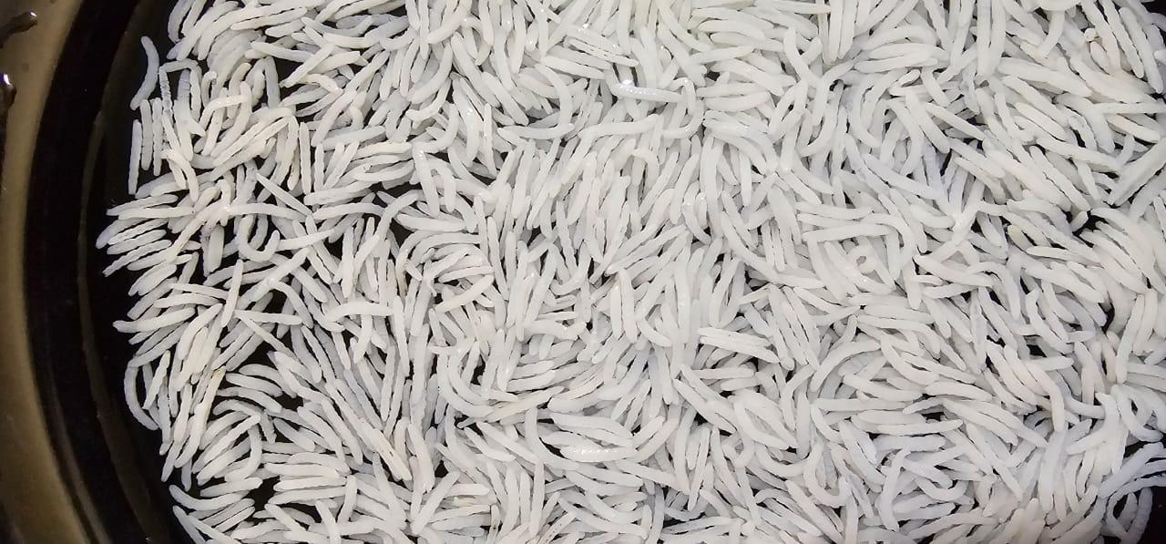 1509 Basmati Steam Rice