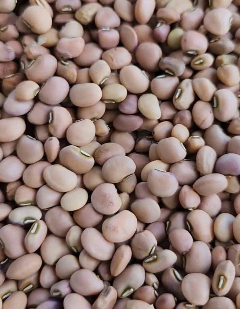 Cowpeas or black eyed peas