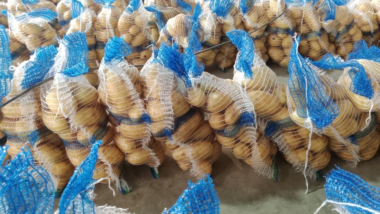 Top 3 Verified Fresh Vegetables suppliers in Pakistan for Global Buyers - 3
