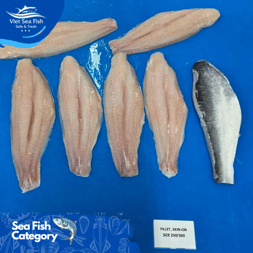Frozen Pangasius Fillet