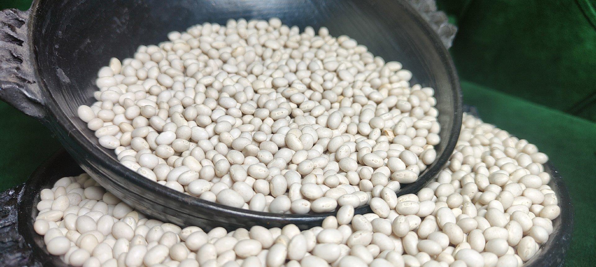 2024 Ethiopian Origin White Pea Beans Hand-Picked Round shape Wholesale Dried New Crop Available in Bulk Quantity