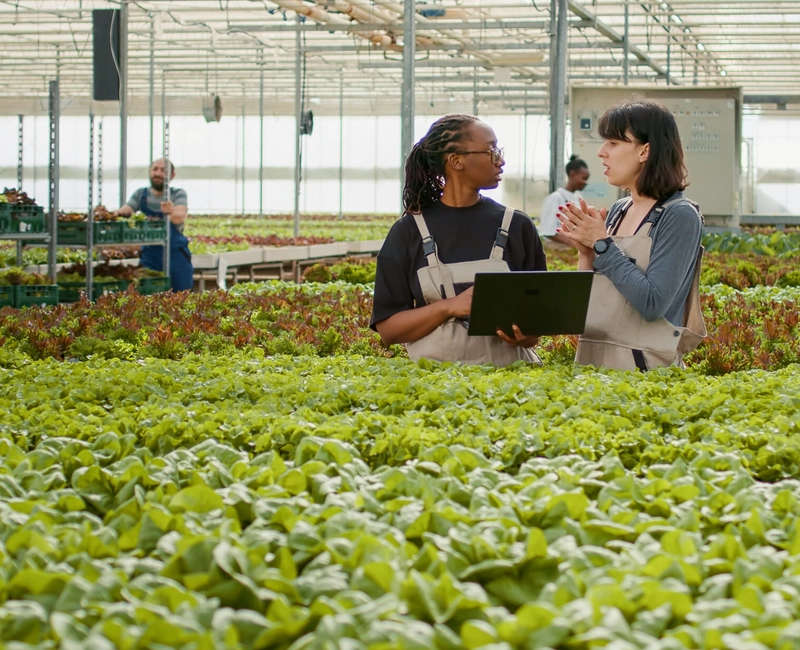 Why Nigeria International Agribusiness Summit and Exhibition(Agrisummex) Matters for B2B