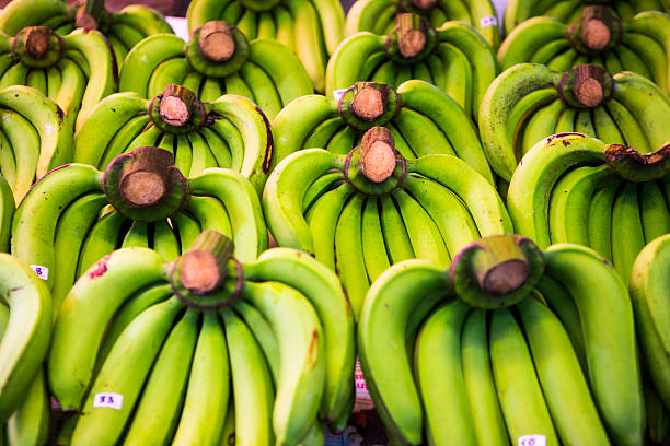 Top 10 Banana Suppliers in Thailand in Year 2025